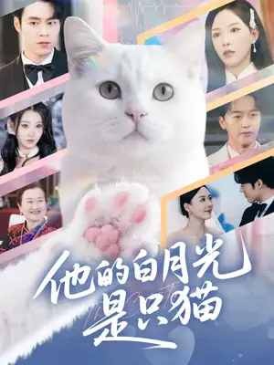 他的白月光是只猫